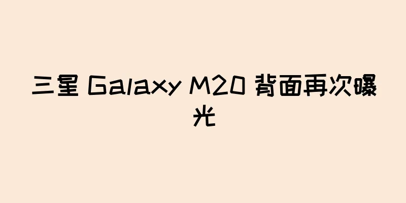 三星 Galaxy M20 背面再次曝光