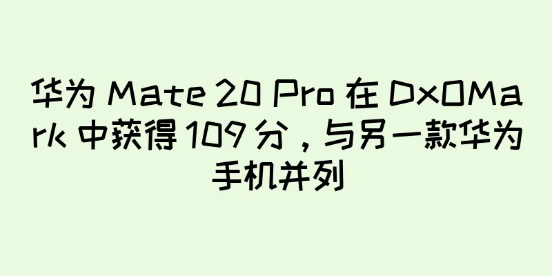 华为 Mate 20 Pro 在 DxOMark 中获得 109 分，与另一款华为手机并列
