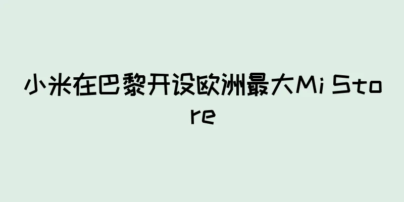 小米在巴黎开设欧洲最大Mi Store