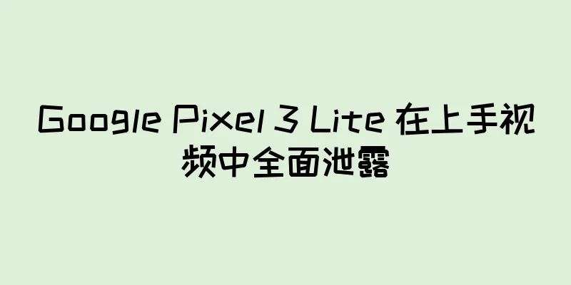 Google Pixel 3 Lite 在上手视频中全面泄露