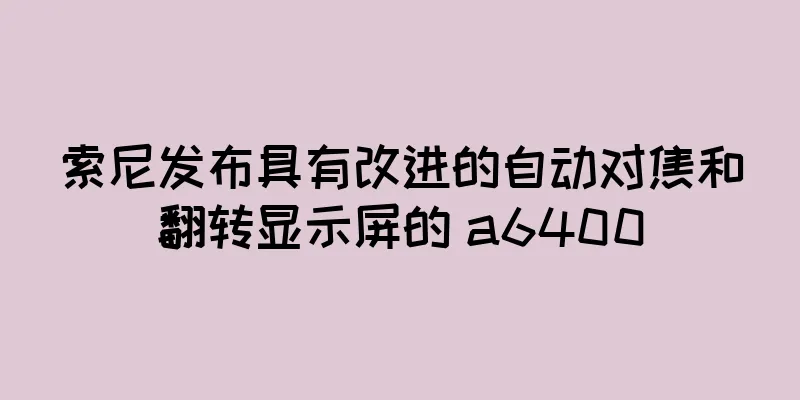 索尼发布具有改进的自动对焦和翻转显示屏的 a6400