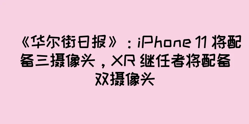 《华尔街日报》：iPhone 11 将配备三摄像头，XR 继任者将配备双摄像头