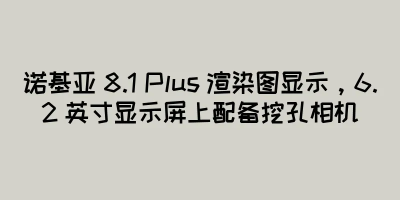 诺基亚 8.1 Plus 渲染图显示，6.2 英寸显示屏上配备挖孔相机