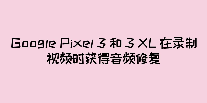Google Pixel 3 和 3 XL 在录制视频时获得音频修复