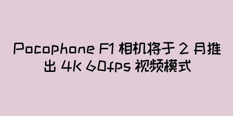 Pocophone F1 相机将于 2 月推出 4K 60fps 视频模式
