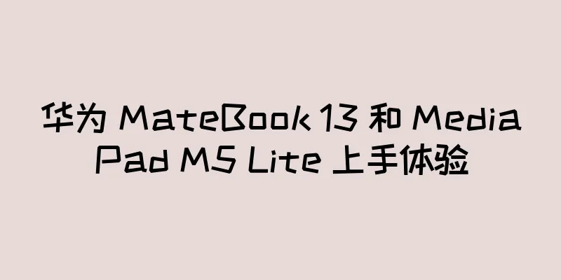 华为 MateBook 13 和 MediaPad M5 Lite 上手体验