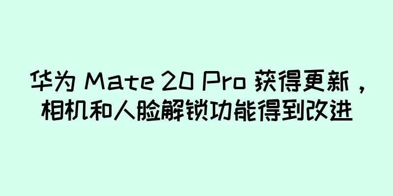 华为 Mate 20 Pro 获得更新，相机和人脸解锁功能得到改进