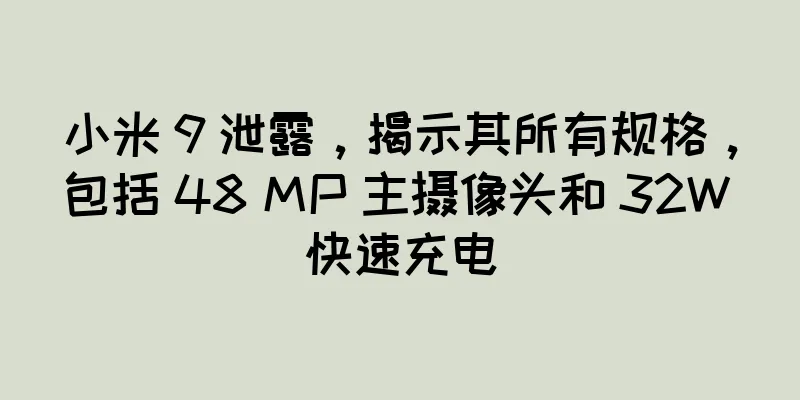 小米 9 泄露，揭示其所有规格，包括 48 MP 主摄像头和 32W 快速充电