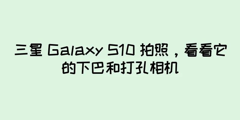 三星 Galaxy S10 拍照，看看它的下巴和打孔相机