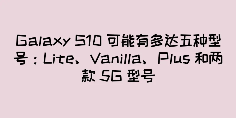 Galaxy S10 可能有多达五种型号：Lite、Vanilla、Plus 和两款 5G 型号
