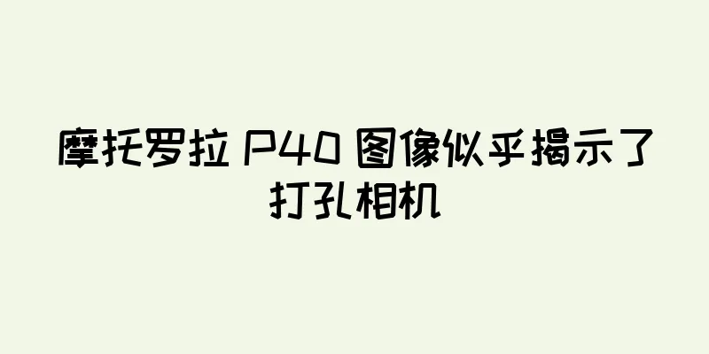 摩托罗拉 P40 图像似乎揭示了打孔相机
