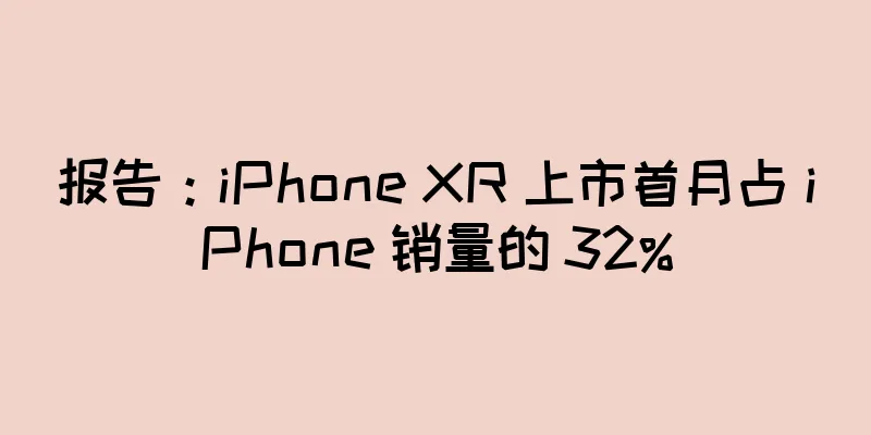 报告：iPhone XR 上市首月占 iPhone 销量的 32%