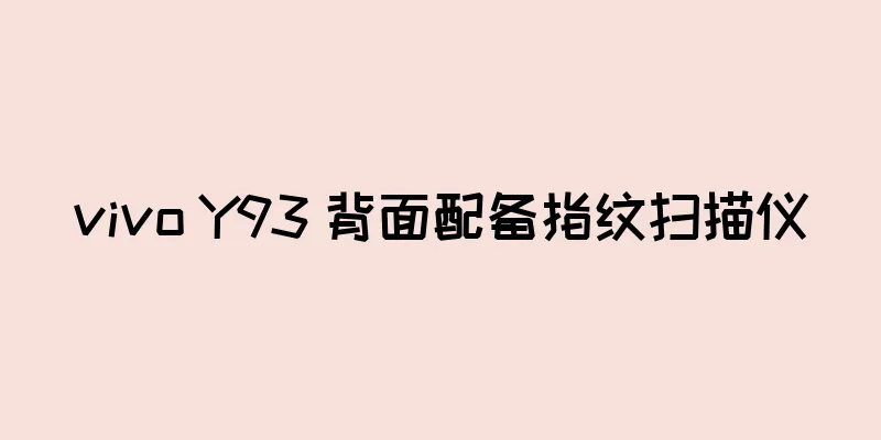vivo Y93 背面配备指纹扫描仪