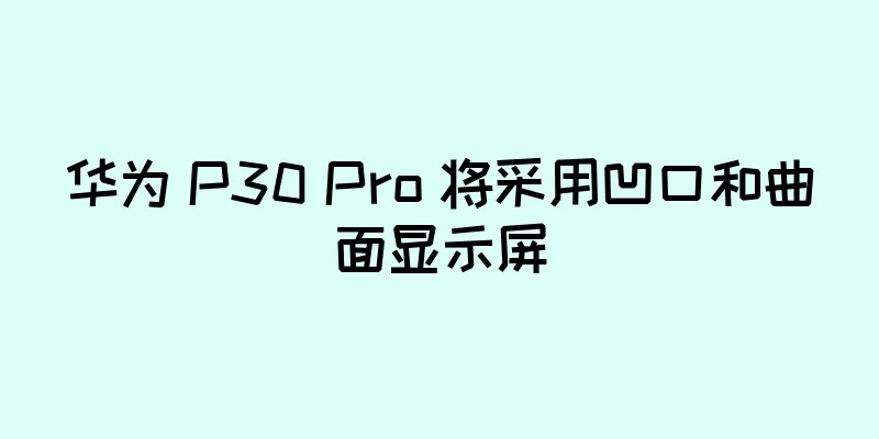 华为 P30 Pro 将采用凹口和曲面显示屏