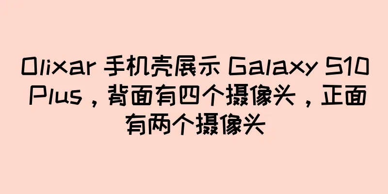 Olixar 手机壳展示 Galaxy S10 Plus，背面有四个摄像头，正面有两个摄像头