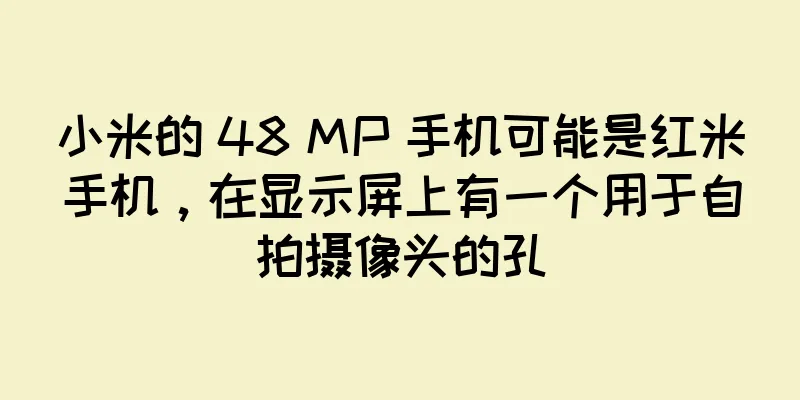 小米的 48 MP 手机可能是红米手机，在显示屏上有一个用于自拍摄像头的孔