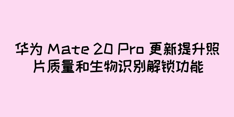 华为 Mate 20 Pro 更新提升照片质量和生物识别解锁功能