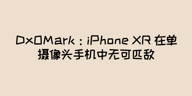 DxOMark：iPhone XR 在单摄像头手机中无可匹敌