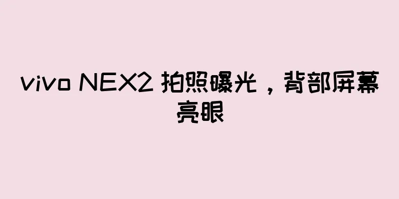 vivo NEX2 拍照曝光，背部屏幕亮眼