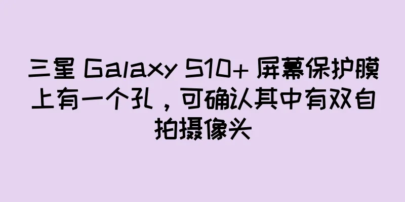 三星 Galaxy S10+ 屏幕保护膜上有一个孔，可确认其中有双自拍摄像头