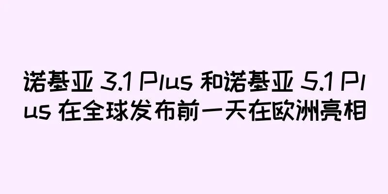 诺基亚 3.1 Plus 和诺基亚 5.1 Plus 在全球发布前一天在欧洲亮相
