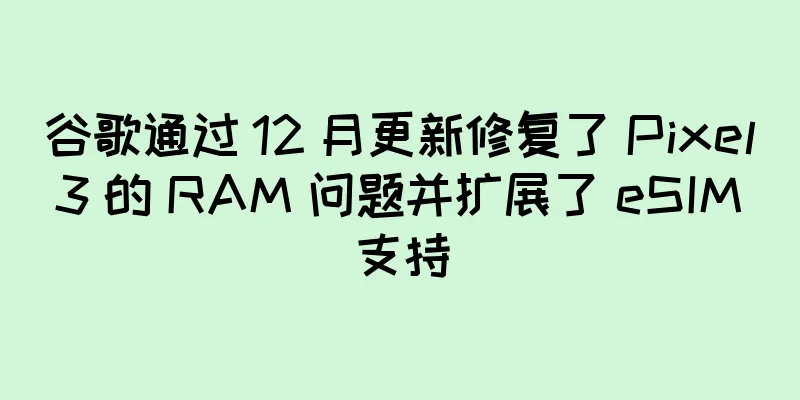 谷歌通过 12 月更新修复了 Pixel 3 的 RAM 问题并扩展了 eSIM 支持