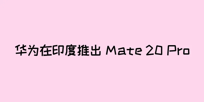 华为在印度推出 Mate 20 Pro