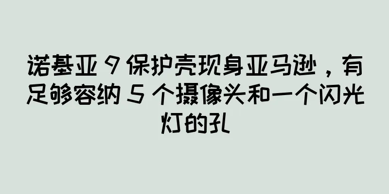 诺基亚 9 保护壳现身亚马逊，有足够容纳 5 个摄像头和一个闪光灯的孔