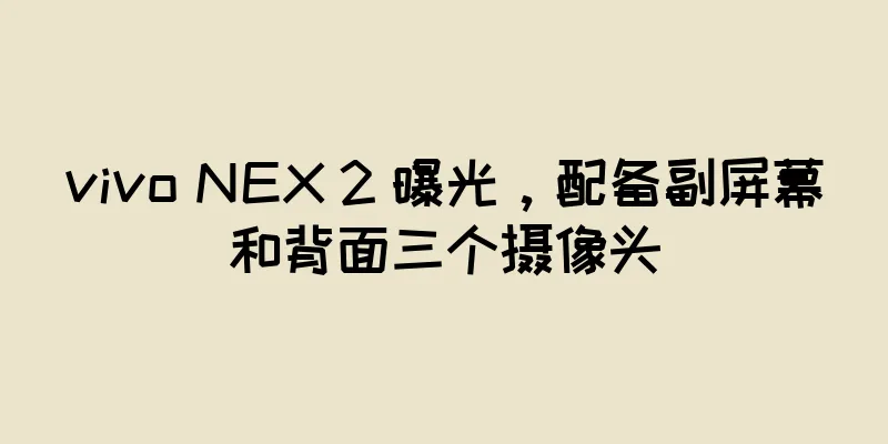 vivo NEX 2 曝光，配备副屏幕和背面三个摄像头