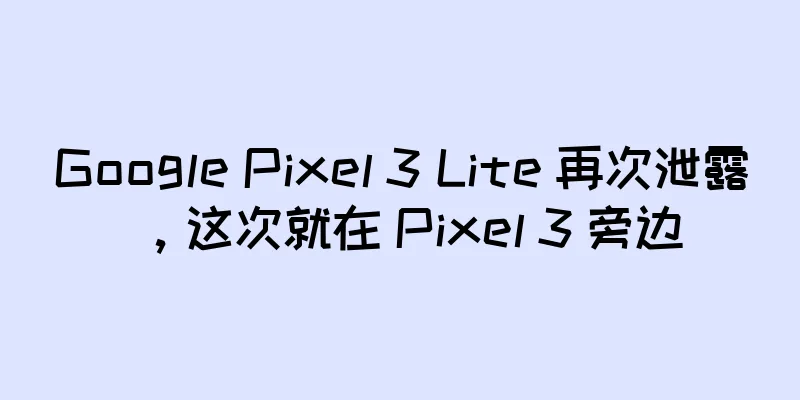 Google Pixel 3 Lite 再次泄露，这次就在 Pixel 3 旁边
