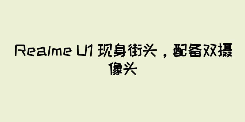 Realme U1 现身街头，配备双摄像头