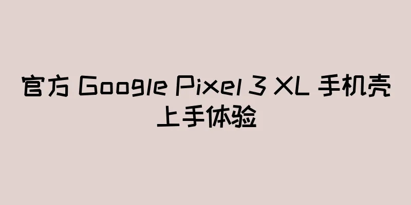 官方 Google Pixel 3 XL 手机壳上手体验
