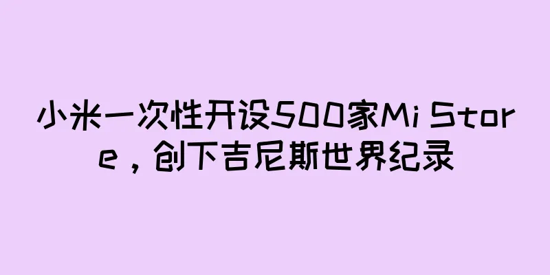 小米一次性开设500家Mi Store，创下吉尼斯世界纪录