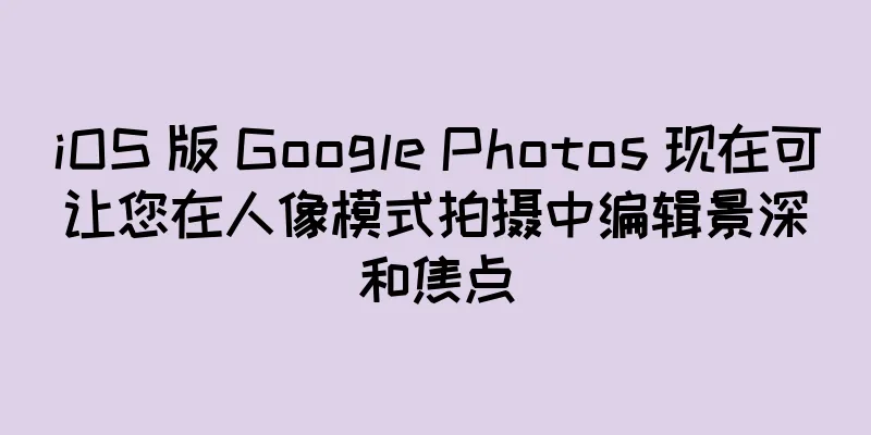 iOS 版 Google Photos 现在可让您在人像模式拍摄中编辑景深和焦点