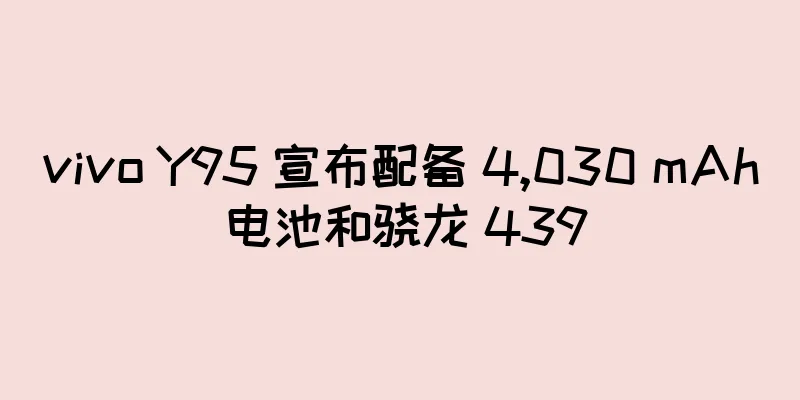 vivo Y95 宣布配备 4,030 mAh 电池和骁龙 439