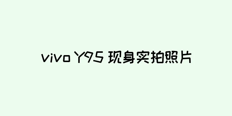 vivo Y95 现身实拍照片