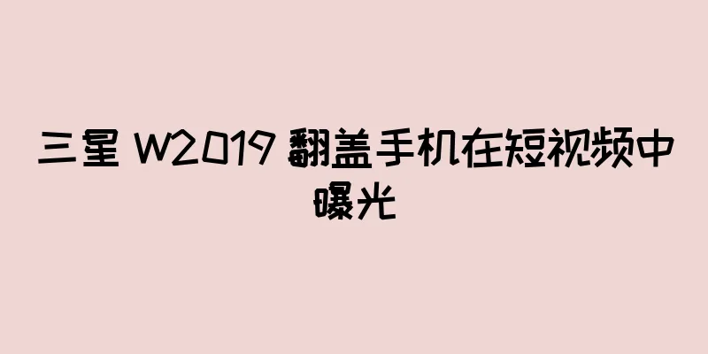 三星 W2019 翻盖手机在短视频中曝光