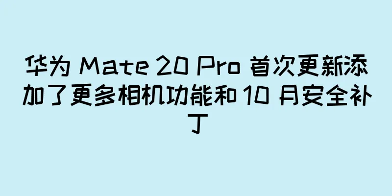 华为 Mate 20 Pro 首次更新添加了更多相机功能和 10 月安全补丁
