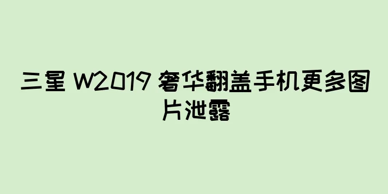 三星 W2019 奢华翻盖手机更多图片泄露