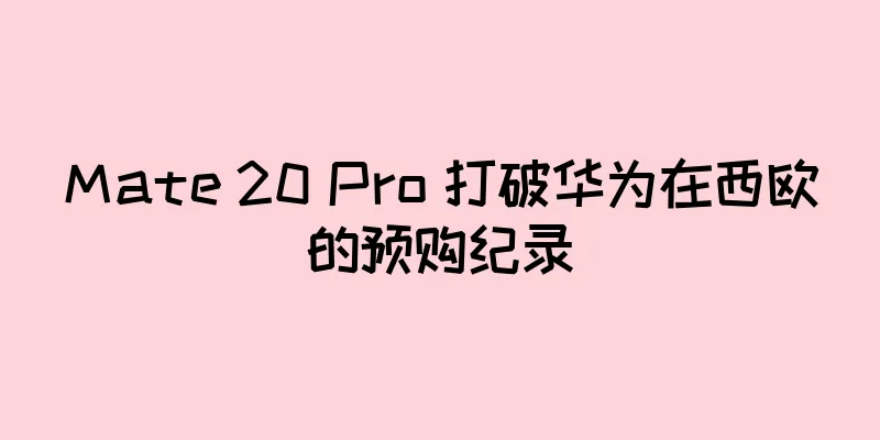 Mate 20 Pro 打破华为在西欧的预购纪录