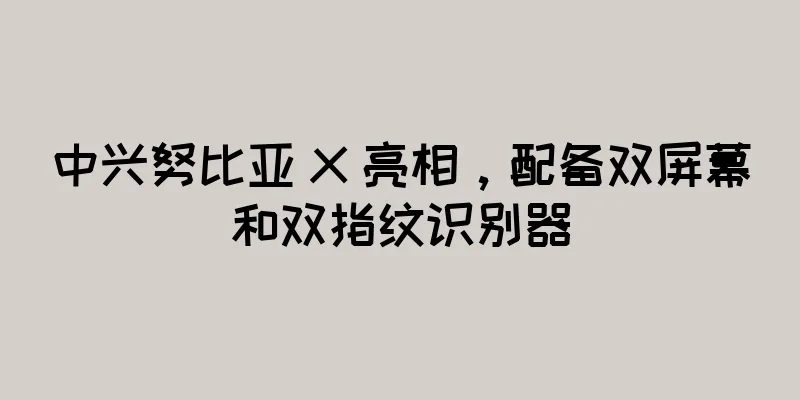中兴努比亚 X 亮相，配备双屏幕和双指纹识别器