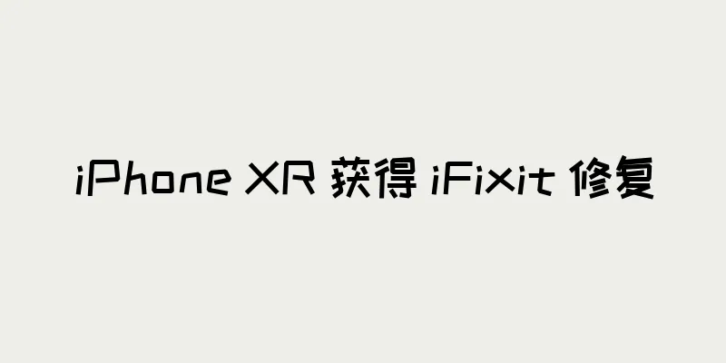 iPhone XR 获得 iFixit 修复