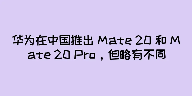 华为在中国推出 Mate 20 和 Mate 20 Pro，但略有不同