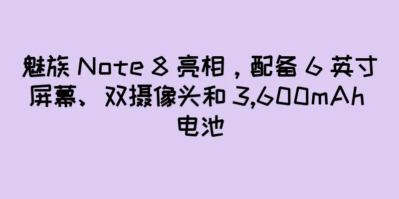 魅族 Note 8 亮相，配备 6 英寸屏幕、双摄像头和 3,600mAh 电池