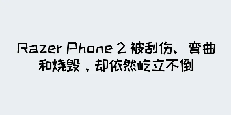 Razer Phone 2 被刮伤、弯曲和烧毁，却依然屹立不倒