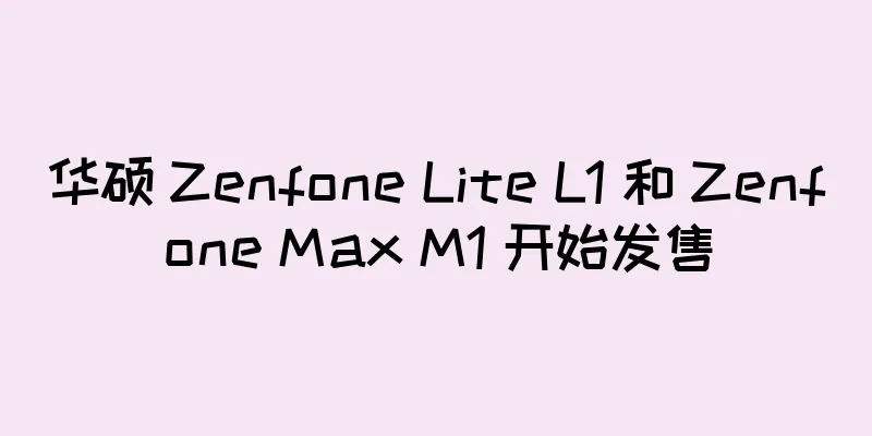 华硕 Zenfone Lite L1 和 Zenfone Max M1 开始发售