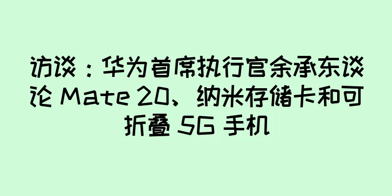 访谈：华为首席执行官余承东谈论 Mate 20、纳米存储卡和可折叠 5G 手机