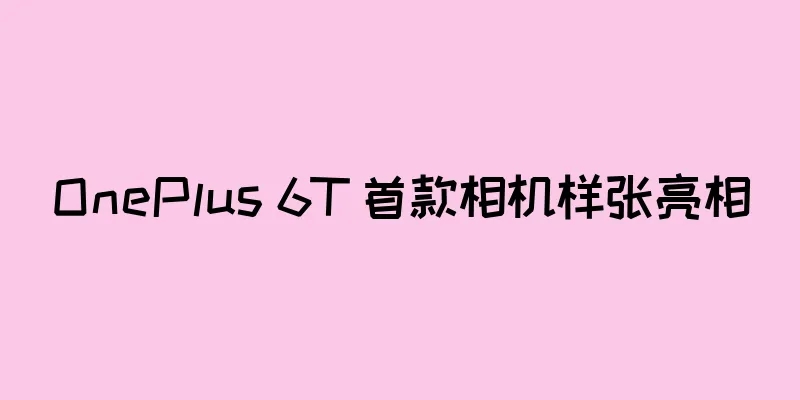 OnePlus 6T 首款相机样张亮相