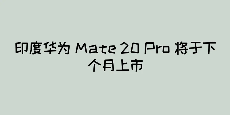 印度华为 Mate 20 Pro 将于下个月上市