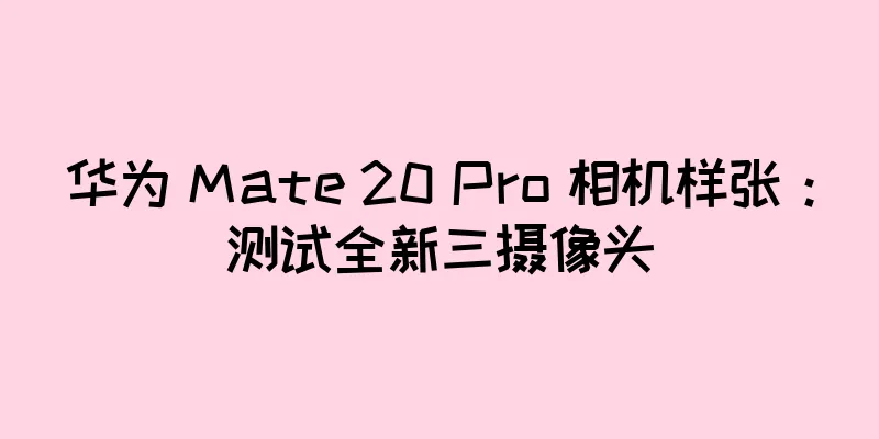 华为 Mate 20 Pro 相机样张：测试全新三摄像头